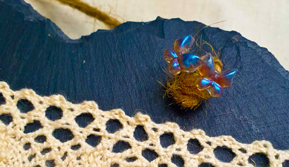 Blue & Pink Butterfly Resin Stud Earrings - J & I Vision