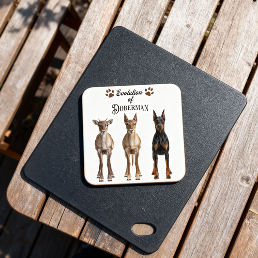Evolution of Doberman Mug & Coaster Set 🐕☕ – For True Doberman Lovers - Coaster - Mug